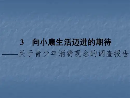 向小康生活迈进的期待ppt6 粤教版
