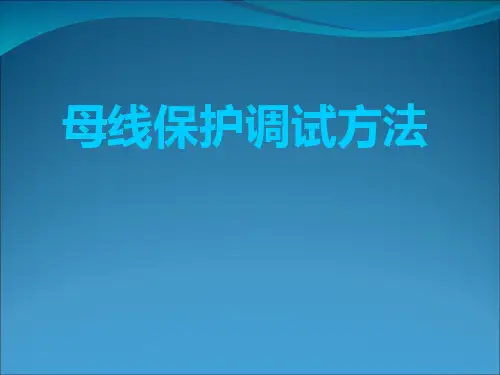 (精品) 母线保护调试方法课件