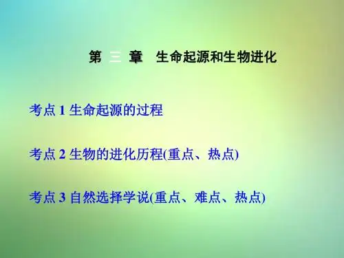 中考生物第七单元第三章生命起源和生物进化复习课件