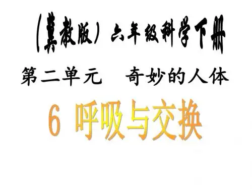 六年级下册科学课件-第二单元 6 呼吸与交换｜冀教版(共14张ppt)