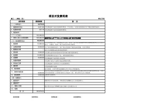 项目开发费用明细表