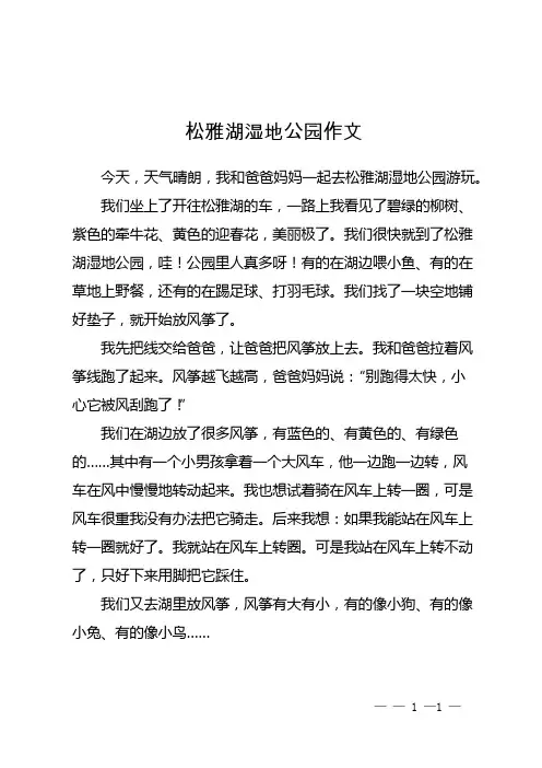 松雅湖湿地公园作文