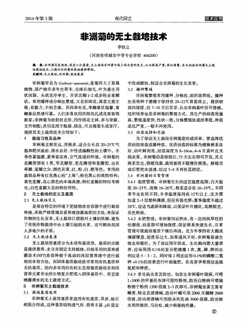 非洲菊的无土栽培技术