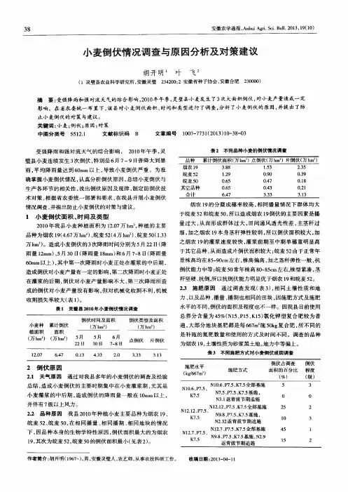 小麦倒伏情况调查与原因分析及对策建议