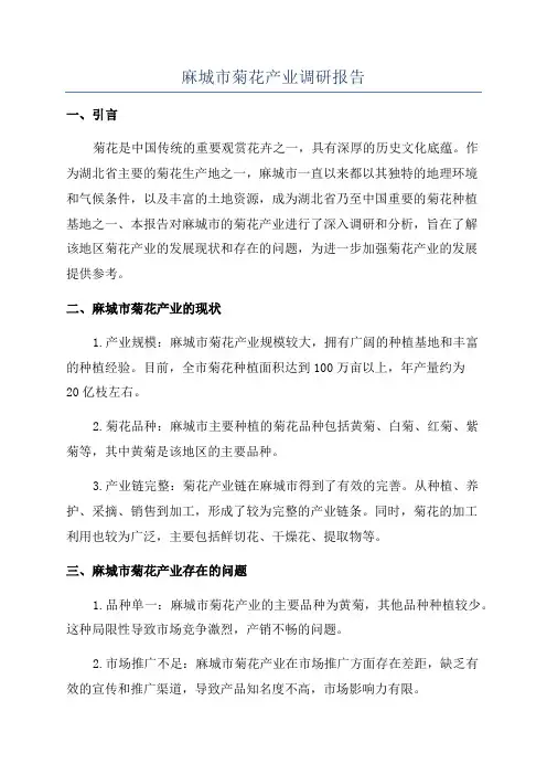 麻城市菊花产业调研报告