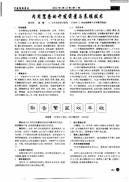 肉用鸳鸯的开发前景与养殖技术