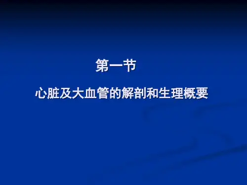 心脏彩超ppt