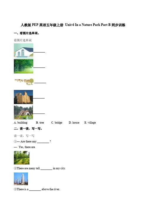 五年级上册英语一课一练-Unit6 In a nature parkPartB∣人教(PEP)(含解析)