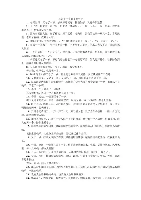 又老了一岁的唯美句子