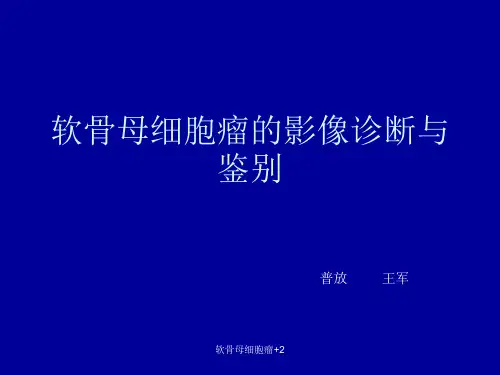 软骨母细胞瘤+21 ppt课件