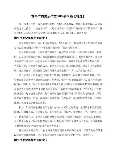 端午节的快乐作文500字5篇【精选】