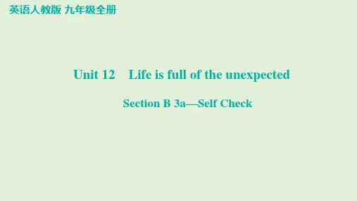Unit+12+Section+B+3a—Self+Check 英语人教版九年级全册