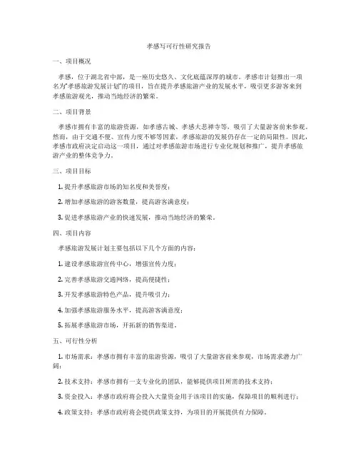 孝感写可行性研究报告