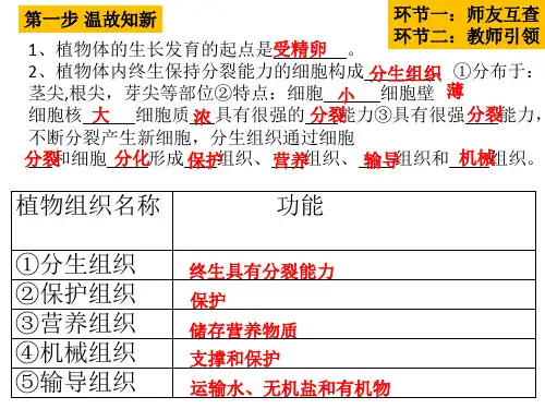 七年级上册生物学人教 第二单元 生物体的结构层次 第二章细胞怎样构成生物体2.2.4单细胞生物 课件