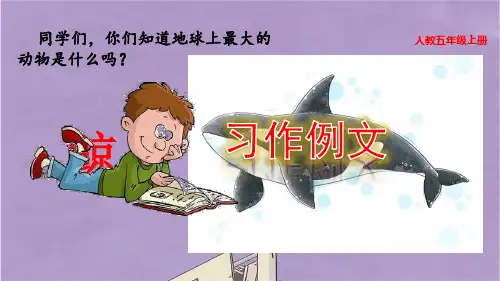 部编版五年级上册语文习作例文课件PPT