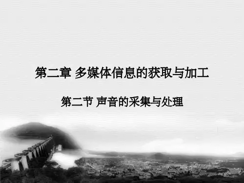 《声音的采集与处理》PPT课件
