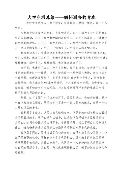 大学生活总结——缅怀逝去的青春