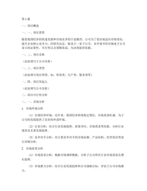 子公司立项申请书范文模板(3篇)