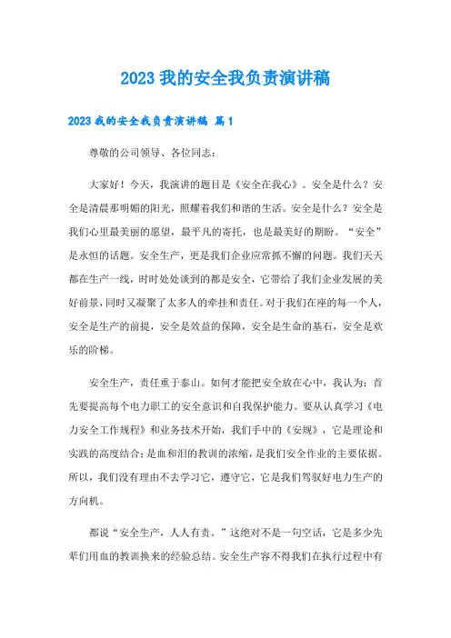 2023我的安全我负责演讲稿