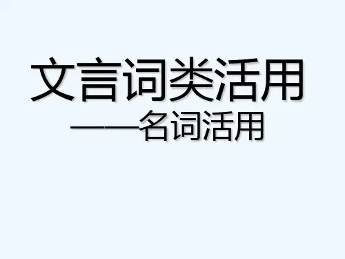文言文词类活用之名词活用