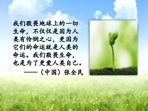 道德与法治《敬畏生命》PPT实用课件部编版1