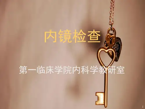 内镜检查PPT课件