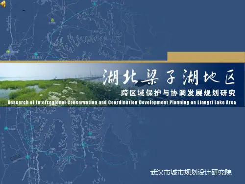 湖北梁子湖