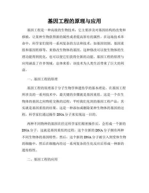 基因工程的原理与应用