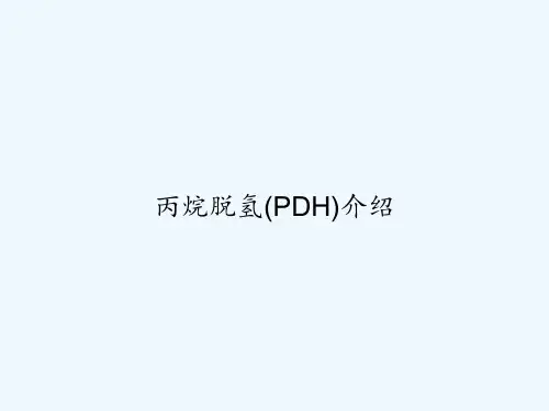 丙烷脱氢(PDH)介绍 PPT