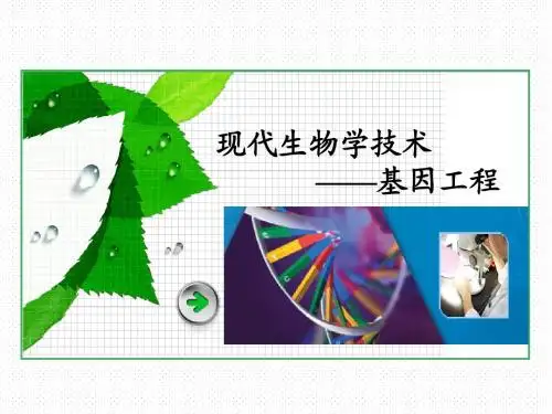 6.2 基因工程及其应用