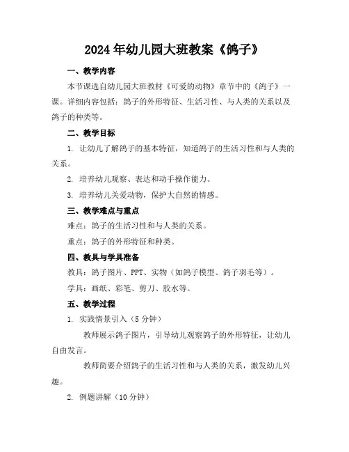 2024年幼儿园大班教案《鸽子》