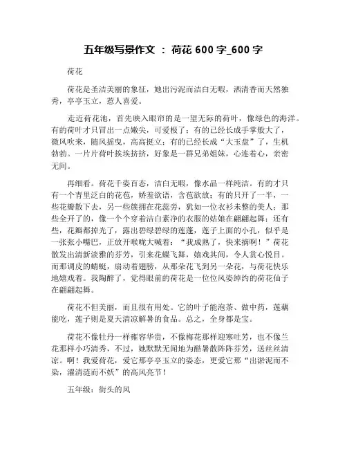 五年级写景作文 ： 荷花 600字_600字