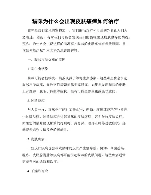 猫咪为什么会出现皮肤瘙痒如何治疗