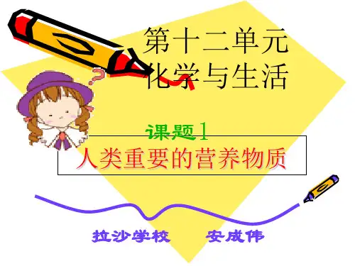 人教版九年级下册化学第十二单元课题1人类重要的营养物质(共28张PPT)
