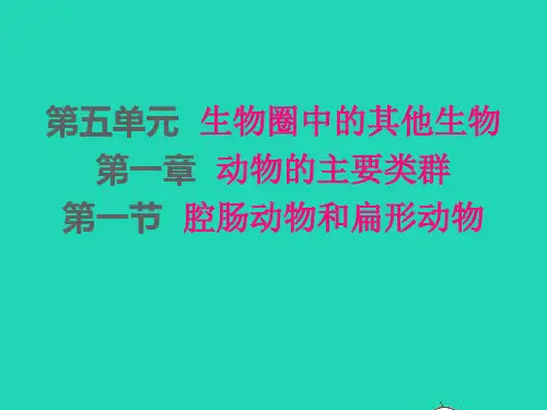 八年级生物上册第五单元生物圈中的其他生物第一章动物的主要类群第1节腔肠动物和扁形动物课件新版新人教版