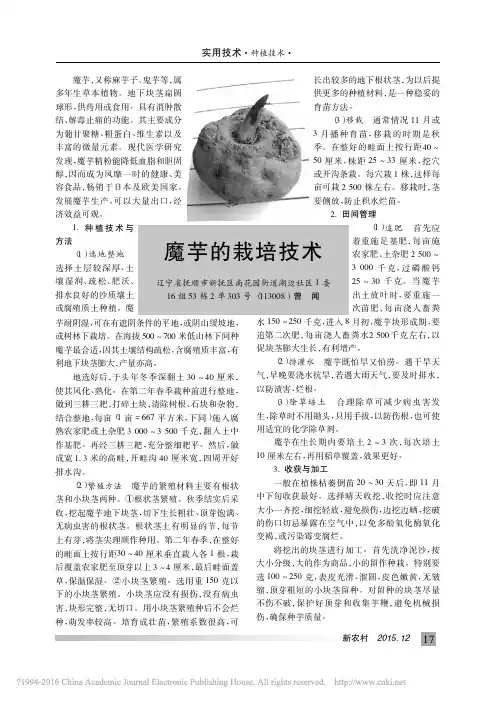 魔芋的栽培技术_曾闻