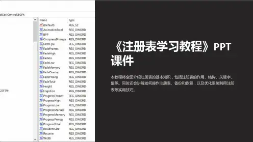 《注册表学习教程》课件
