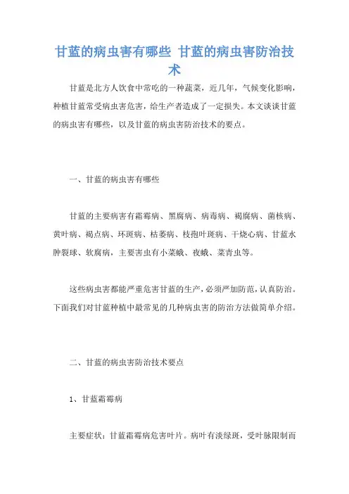 甘蓝的病虫害有哪些 甘蓝的病虫害防治技术