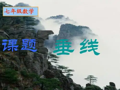 七年级数学垂线