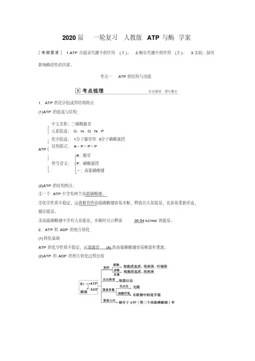 2020年高考一轮复习人教版ATP与酶学案.doc