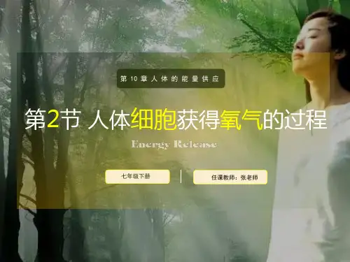 10.2 人体细胞获得氧气的过程(第1课时) 课件 2020-2021学年北师大版七年级生物下册