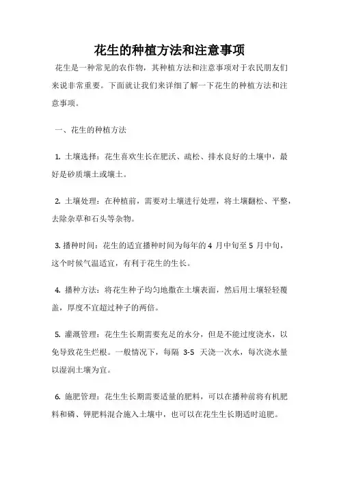 花生的种植方法和注意事项