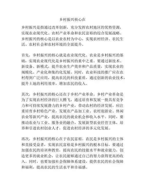 乡村振兴核心在
