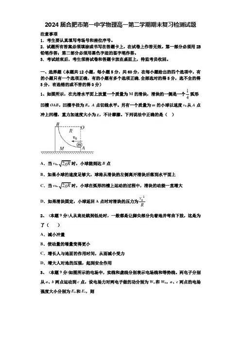 2024届合肥市第一中学物理高一第二学期期末复习检测试题含解析