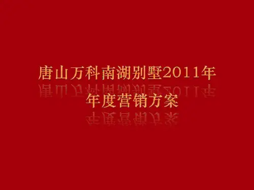 XXXX年度唐山某地产南湖别墅营销推广方案
