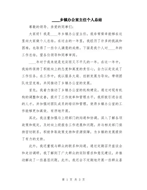 2024乡镇办公室主任个人总结
