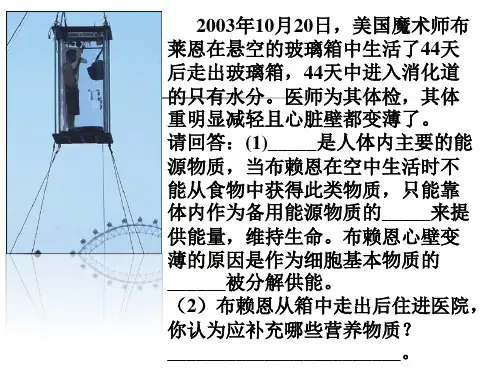 《合理膳食与食品安全》课件