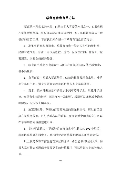 草莓育苗盘育苗方法