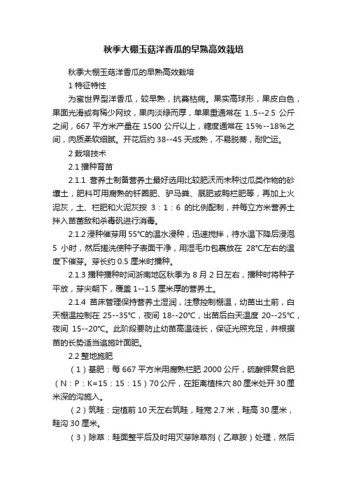秋季大棚玉菇洋香瓜的早熟高效栽培