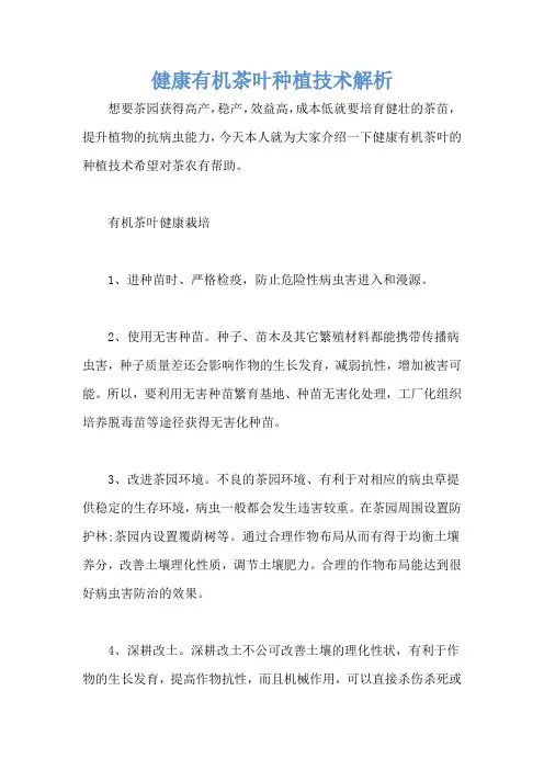 健康有机茶叶种植技术解析